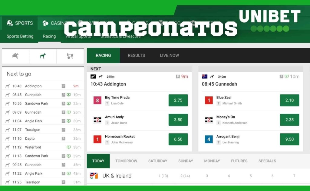 corrida campeonatos no site Unibet Brasil